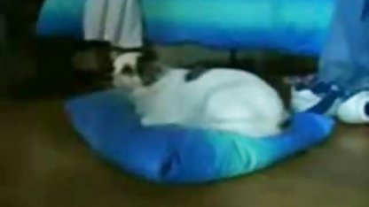Kızlar kız kedi vibratör sekspornofilimler vibratör mastürbasyon